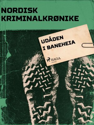 cover image of Udåden i Baneheia